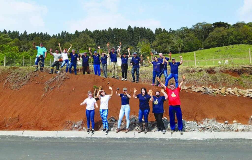 Mudas de Ipês estão sendo plantadas as margens da SC - 390