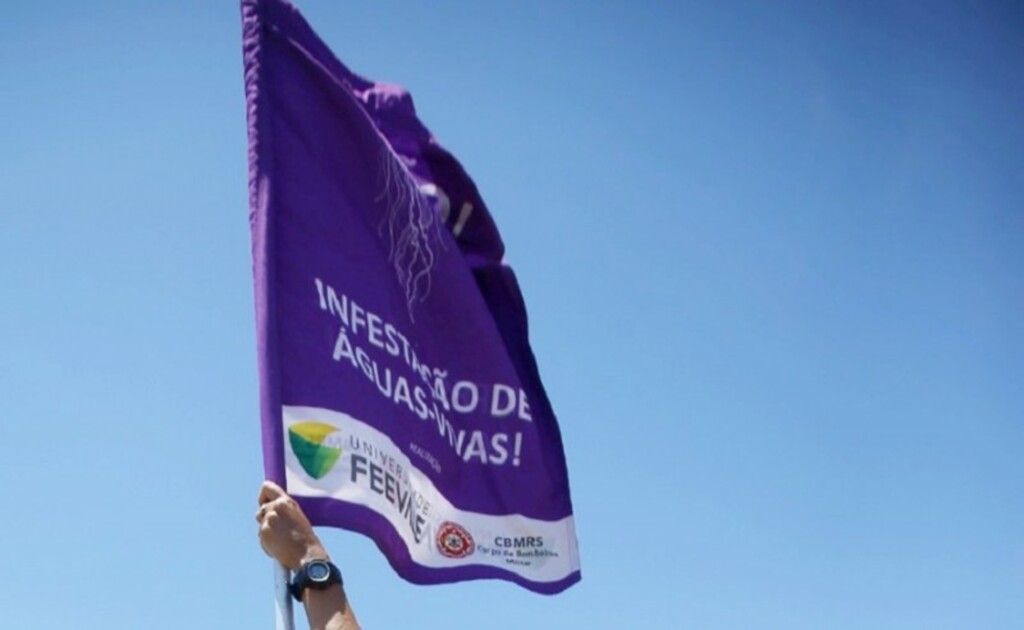 Divulgação - 