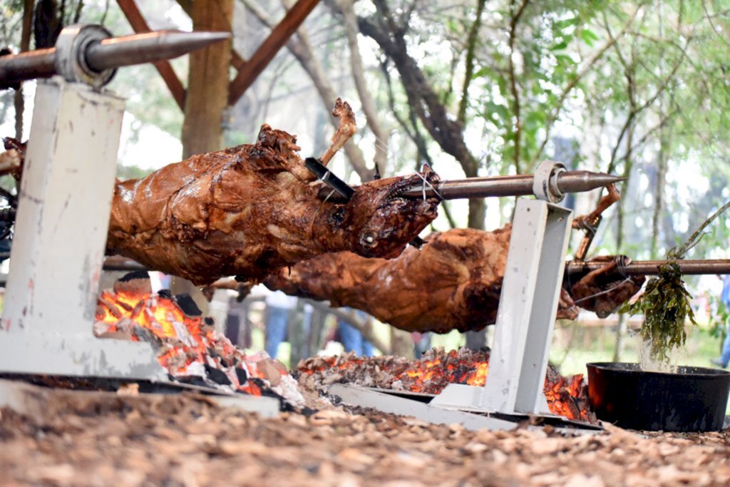 Comunicacao Coocam - Gisiane - Tradicional desde a fundação da Cooperativa Agropecuária Camponovense (Coocam), em 1993, este é o primeiro ano que a festa do Michuim não acontecerá.