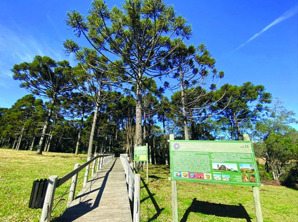 Parque arqueológico de Pinhal da Serra reabrirá na próxima semana