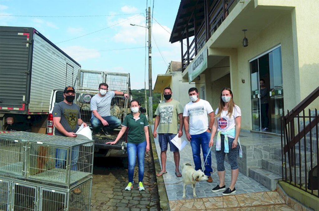 Encaminhadas as 10 primeiras cachorras para castração em Anita Garibaldi