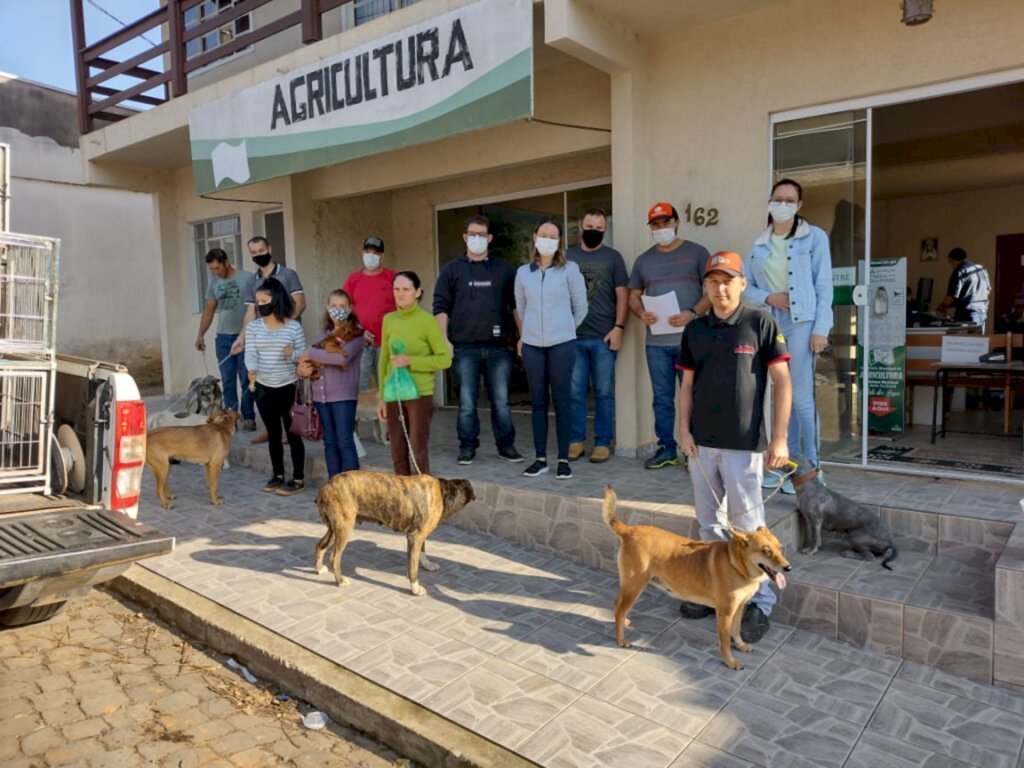 Primeiros animais enviados para castração em Anita