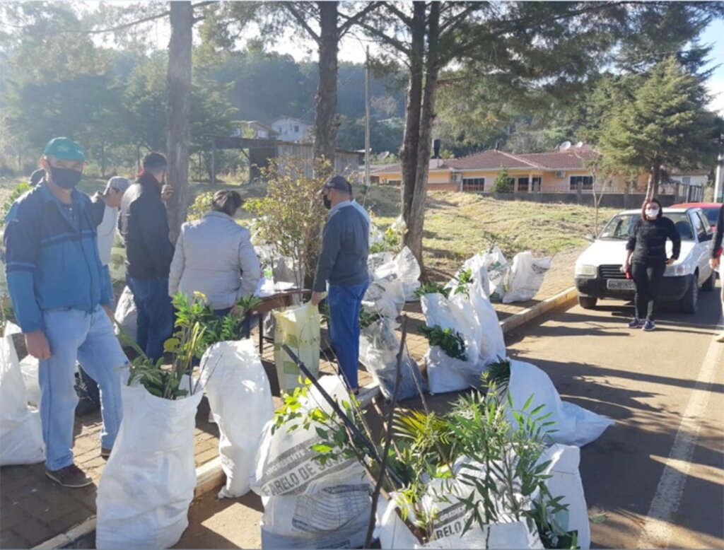 Município e Epagri realizam entrega de mudas  frutíferas e ornamentais  em Abdon Batista