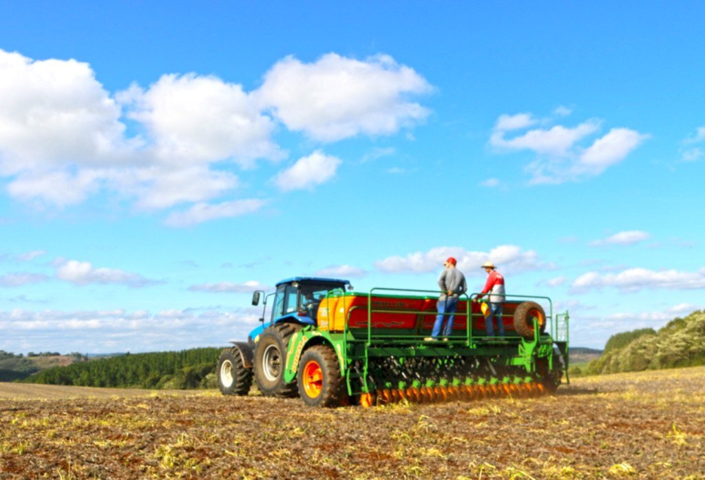 Plantio de milho já iniciou em lavouras dos produtores da Coocam