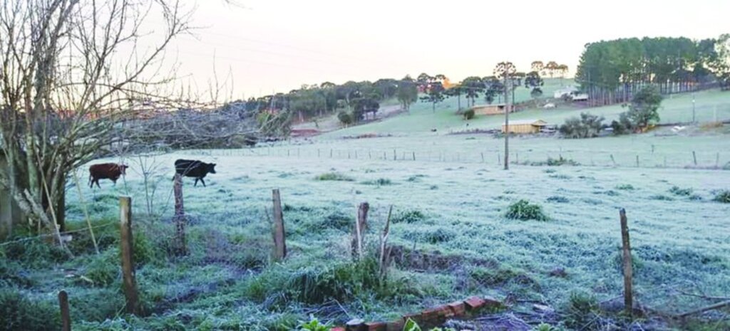 Dia mais frio do ano com temperatura negativa em 69 municípios do estado