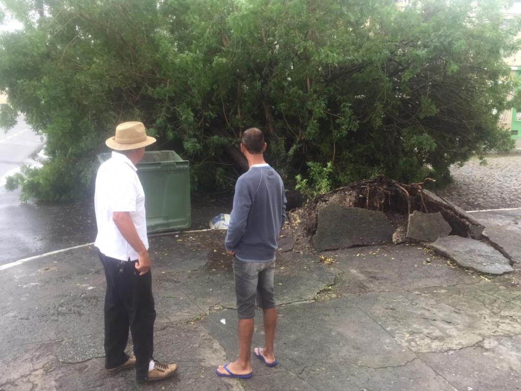Chuvarada causa transtornos em Pelotas
