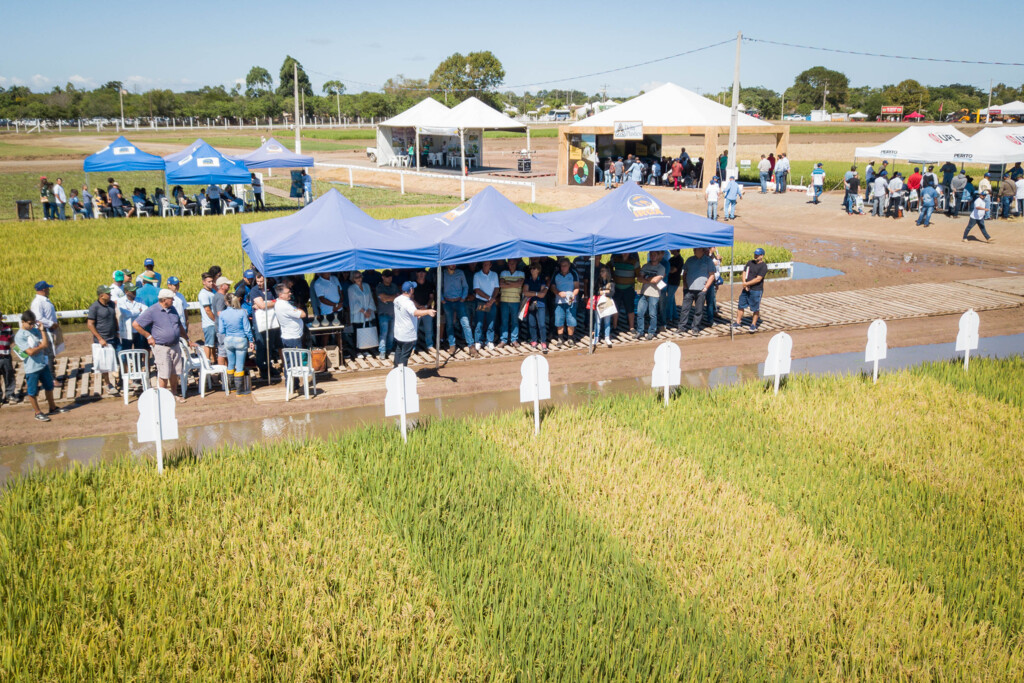 Produtores organizam caravanas para a Abertura da Colheita do Arroz