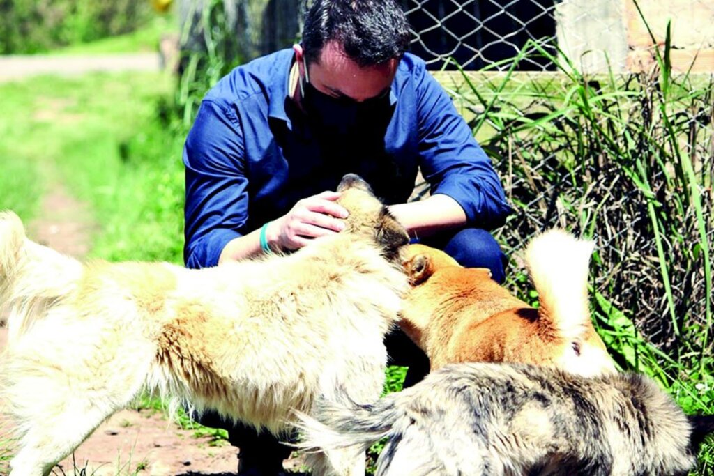 Município de Anita Garibaldi é contemplado com  emenda para castração de animais