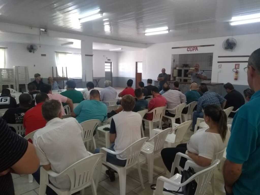 Divulgação - 
