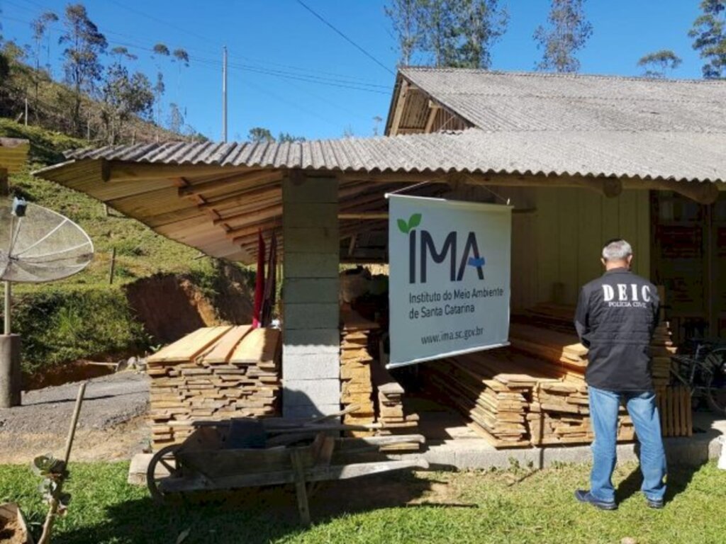 Operação conjunta combate extração ilegal de madeira no Médio Vale do Itajaí