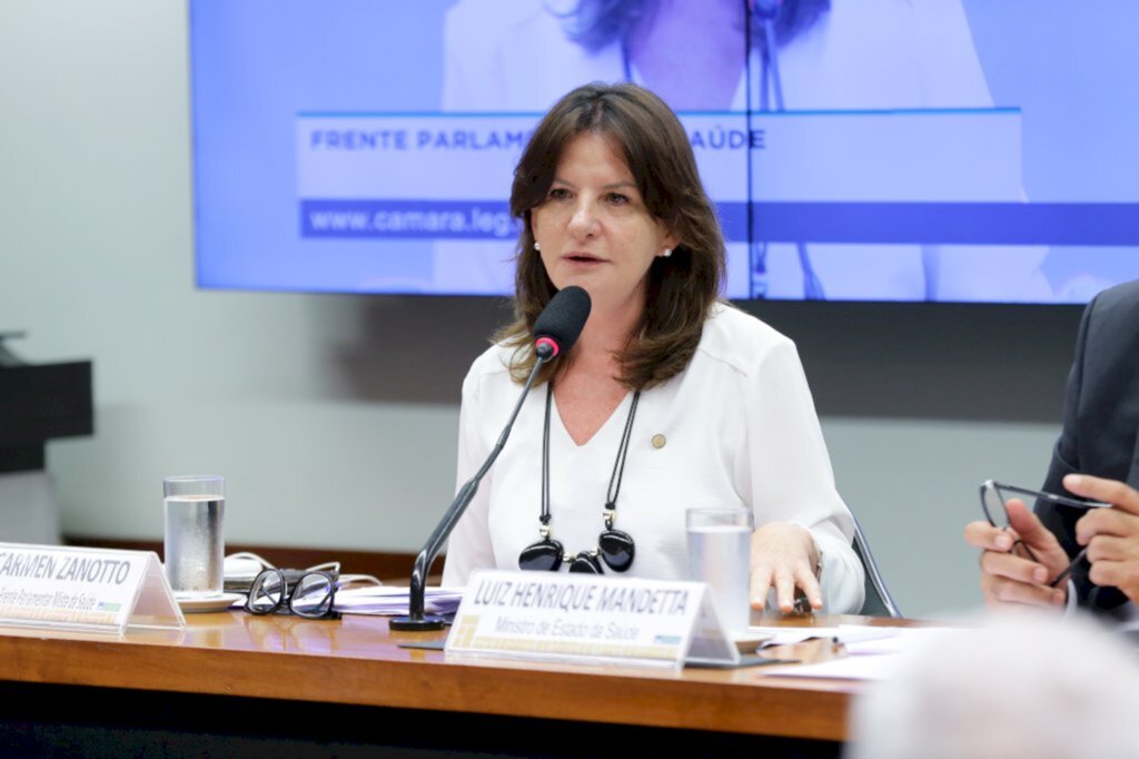 Gabinete Carmen Zanotto - Deputada Federal Carmen Zanotto (Cidadania/SC)