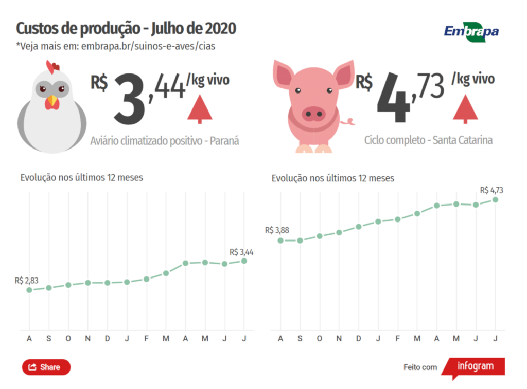 Lucas Scherer Cardoso Jornalista | MTb/RS 10.158 Núcleo de Comunicação Organizacional - Custos de produção de suínos sobem 10,93% em julho