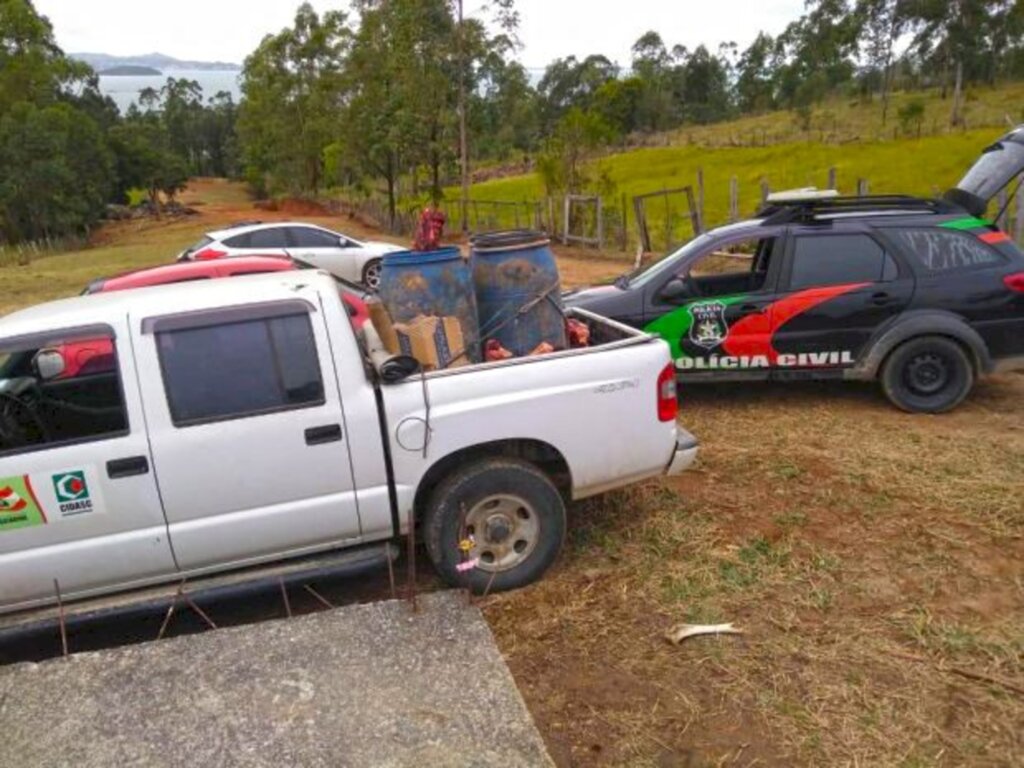 Foto: Divulgação/ PCSC - A ação ocorreu na manhã desta sexta-feira, 14. Os presos relataram aos policiais que cortavam e revendiam carnes de cavalos para a comercialização em um açougue em Tubarão.