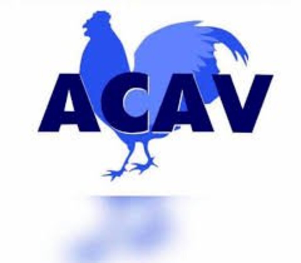 NOTA OFICIAL: Associação Catarinense de Avicultura - ACAV