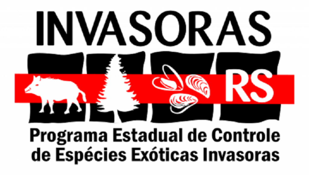 Divulgação - 
