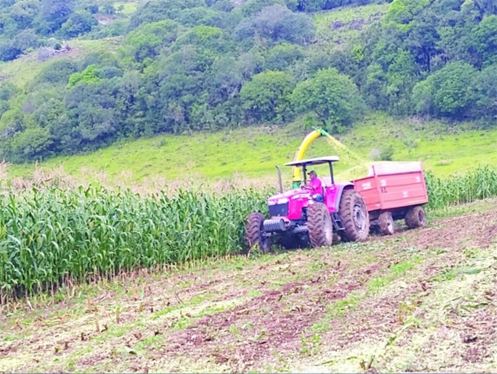 Com apoio da Prefeitura de Pinhal da Serra, produtores iniciam os trabalhos de silagem