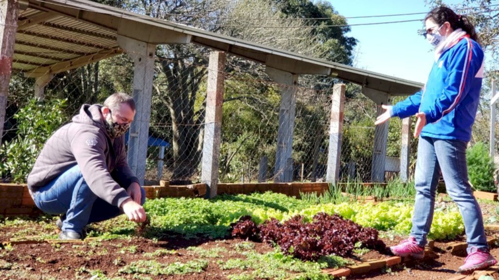 SERVIDORES PREPARAM PRODUÇÃO AGROECOLÓGICA À ESPERA DO RETORNO DAS AULAS EM HORTA ESCOLAR NO INTERIOR DE PIRATUBA