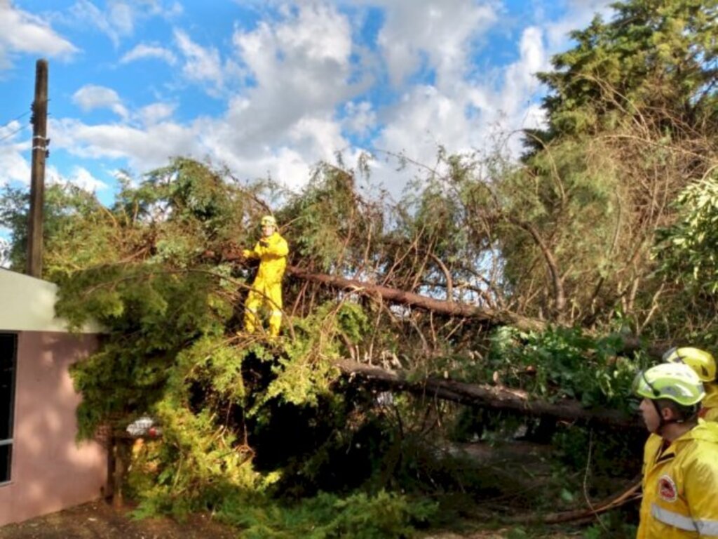 Fotos: Divulgação / CBMSC - Em Tijucas, a Força-Tarefa 13 foi acionada para uma ocorrência de Busca e Resgate em Estrutura Colapsada (BREC), com registro de um óbito, além de uma pessoa que segue desaparecida.