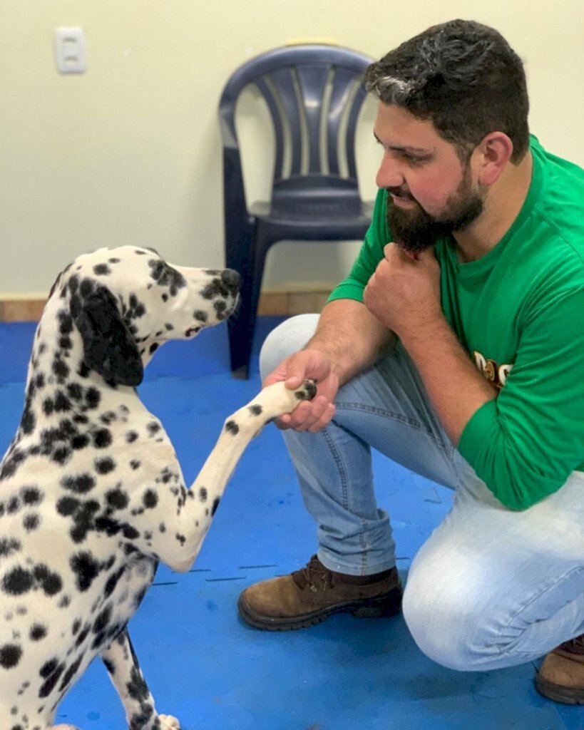  - A empresa atua com hospedagem e adestramento de cães (Crédito: Instagram @dogshowchapeco).