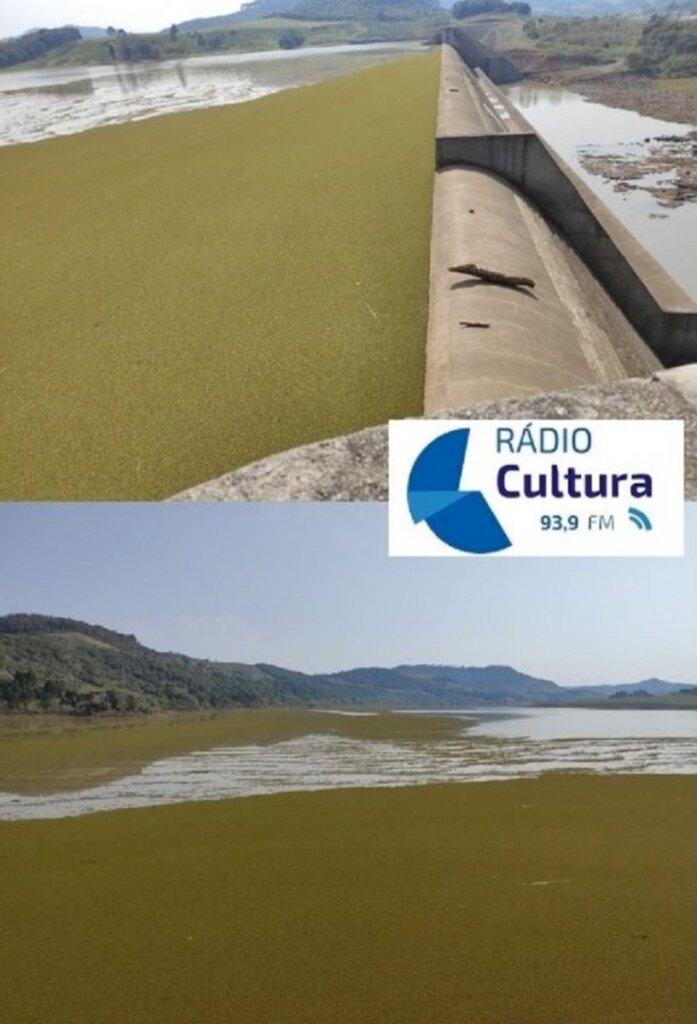 Plantas aquáticas chamam atenção no lago da Usina Garibaldi de Abdon Batista