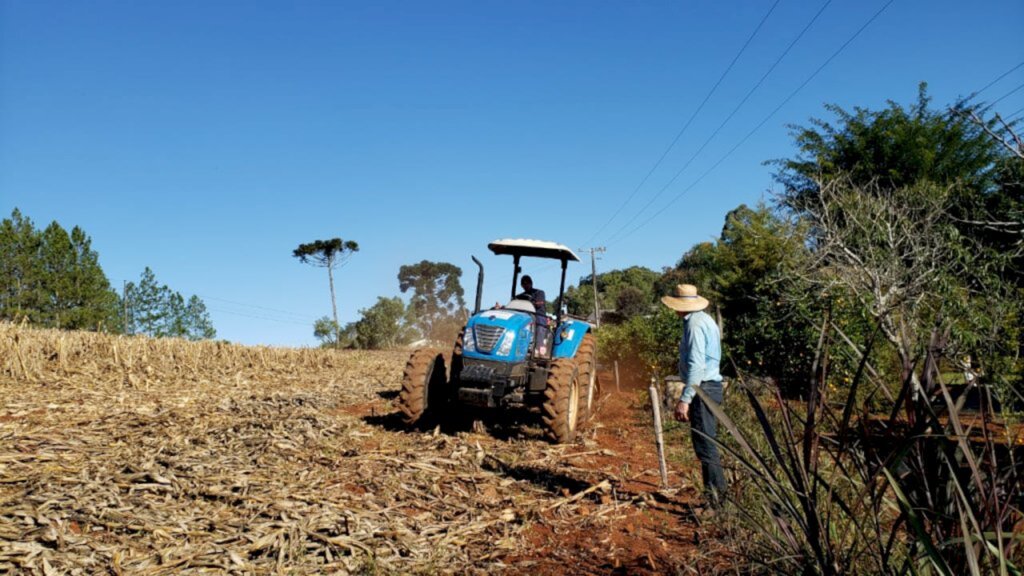 AGRICULTURA FAZ PROGRESSO EM AÇÕES DE INCENTIVO A PASTAGENS DE INVERNO EM PIRATUBA