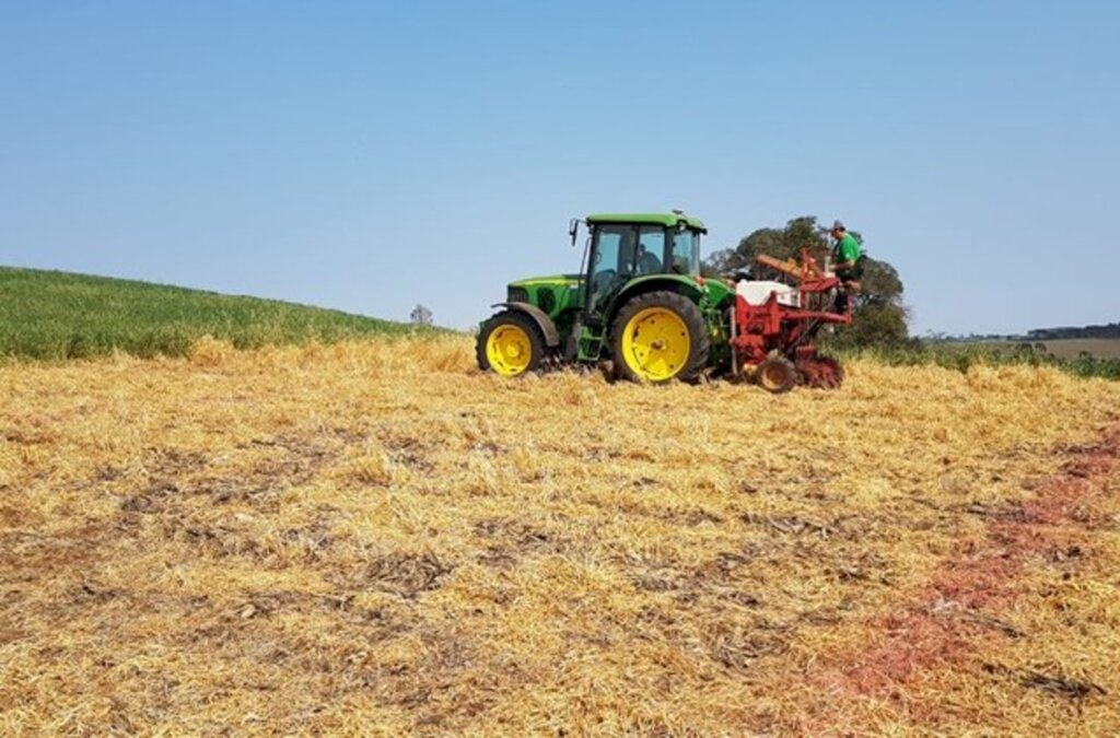 Copercampos implanta área experimental de inverno em Campo Belo do Sul/SC