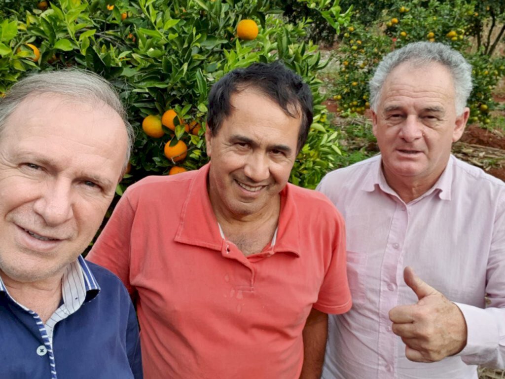  - Soccol, Cassiano e Enio, sendo no detalhe algumas árvores frutíferas com frutos.