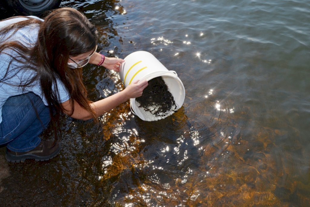 Consórcio Machadinho realiza soltura de peixes no Rio Uruguai