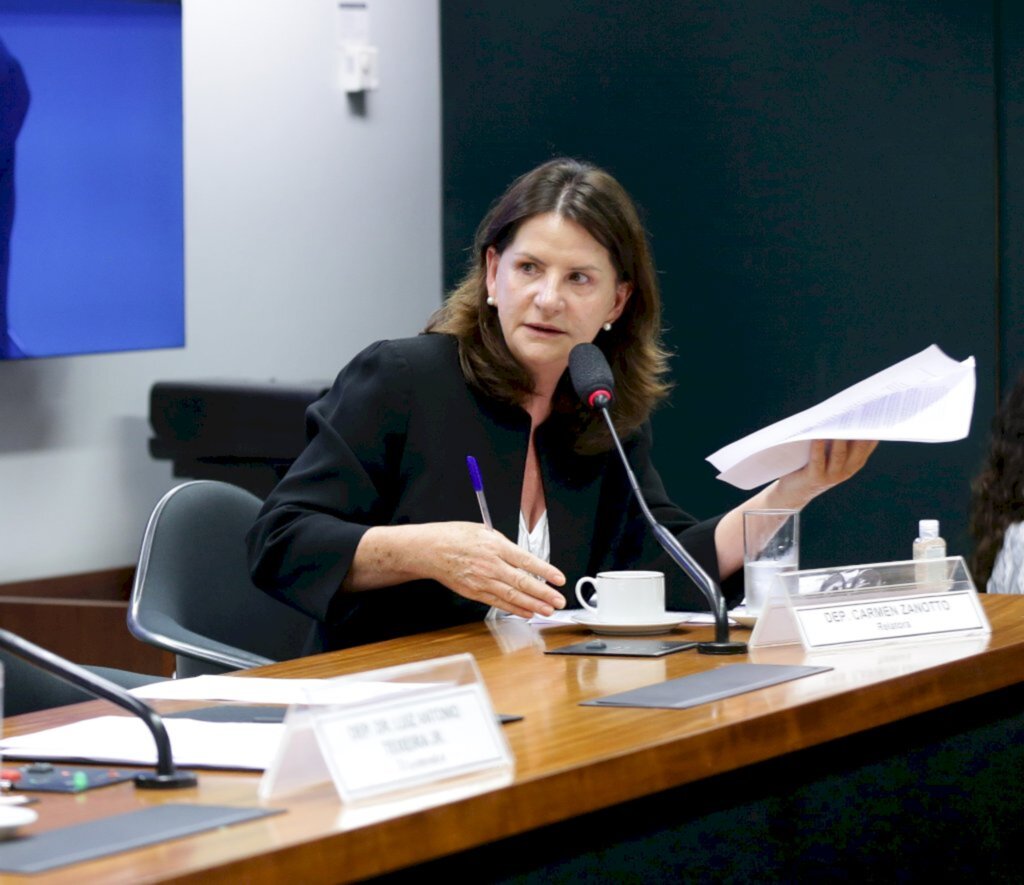 Foto Michel Jesus/ Câmara dos Deputados - Deputada Carmen Zanotto (Cidadania-SC)