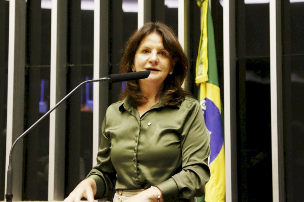 Foto: Robson Gonçalves/Cidadania - Deputada Carmen Zanotto (Cidadania-SC)