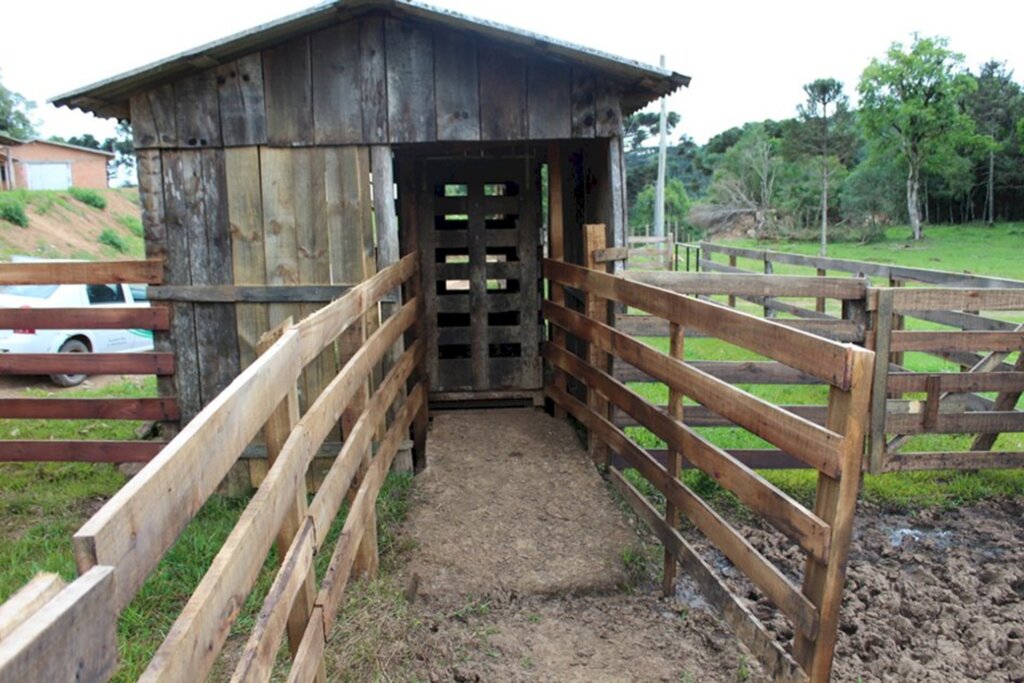 Balanças de gado são reformadas em Anita