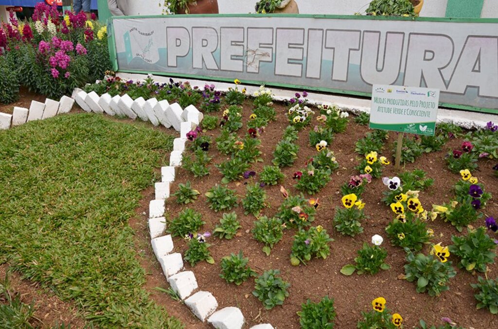 Através de projeto,  flores são doadas em Anita