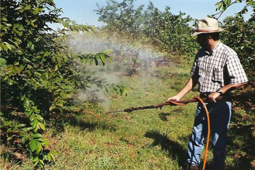 Governo vai editar MP para isentar agrotóxicos até 31 de dezembro
