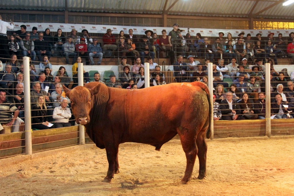 92ª Expofeira começa nesta segunda-feira