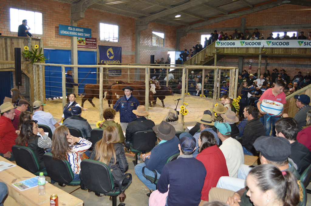 Capão Alto realiza Feira do Terneiro (a) com  mais de 700 animais
