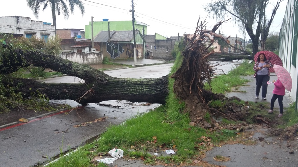 Temporal causa queda de energia e falta de água em Pelotas