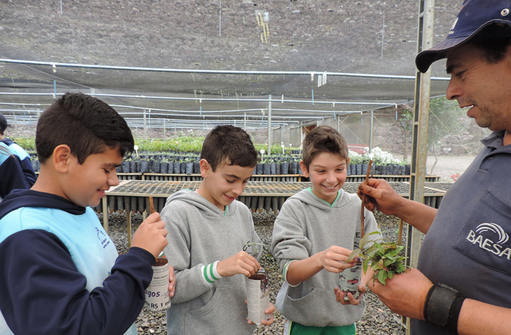 BAESA alcança 1 milhão de mudas  nativas plantadas