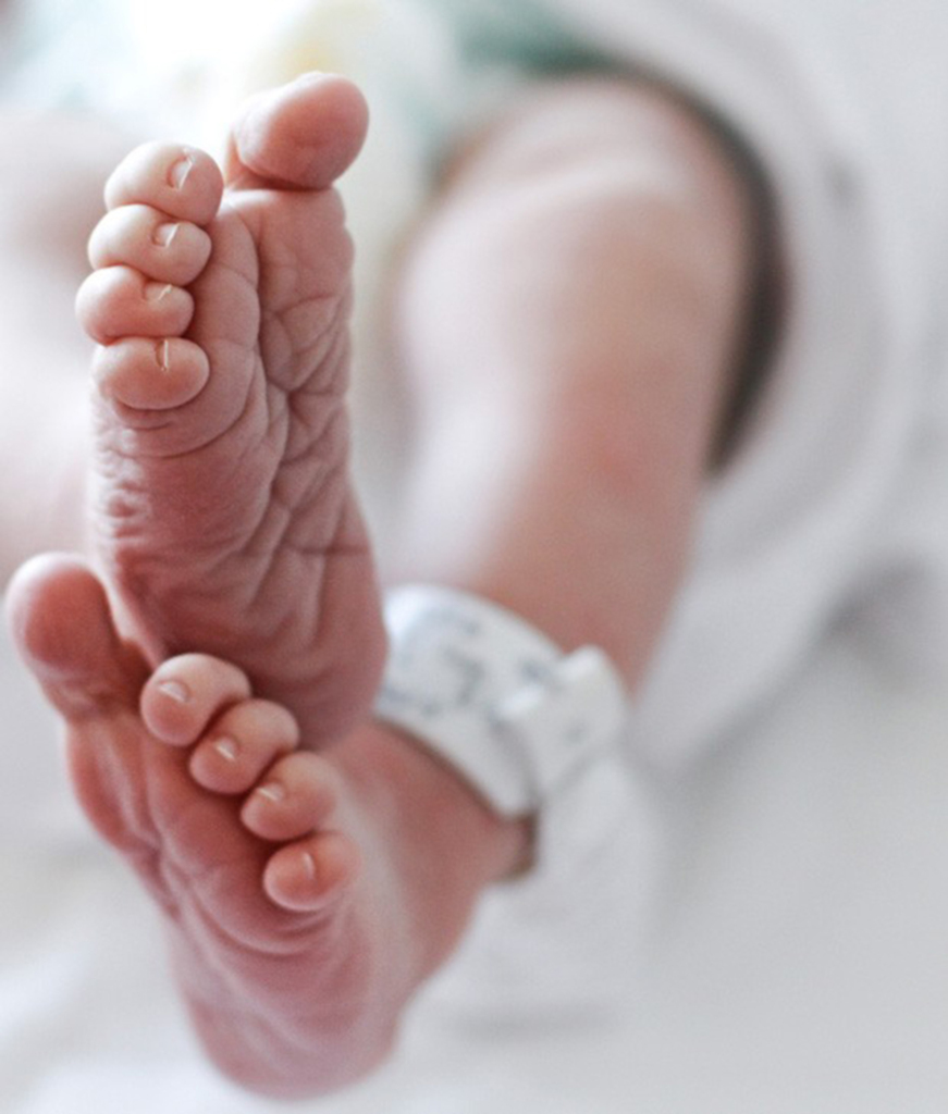 110 registros de bebês foram realizados  em Anita Garibaldi em 2018