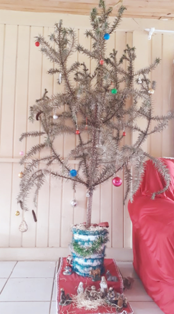 O simbolismo da árvore de Natal