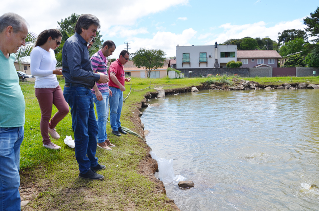 Peixes foram soltos na  lagoa em frente ao ginásio municipal de Anita