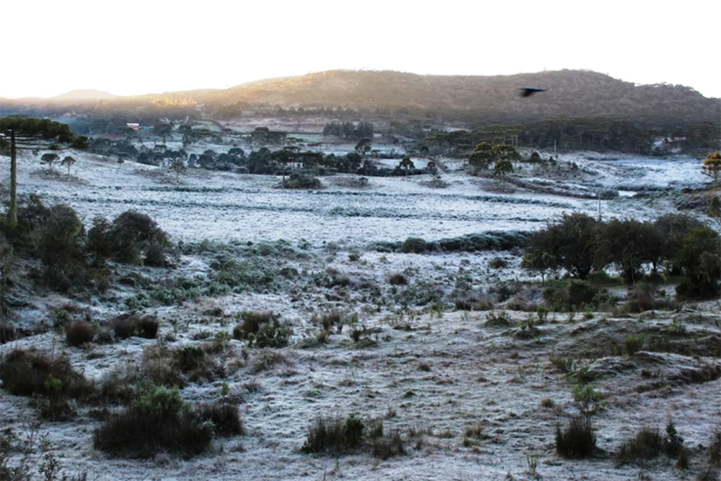 SC tem geada e temperatura mínima de até -6,6°C