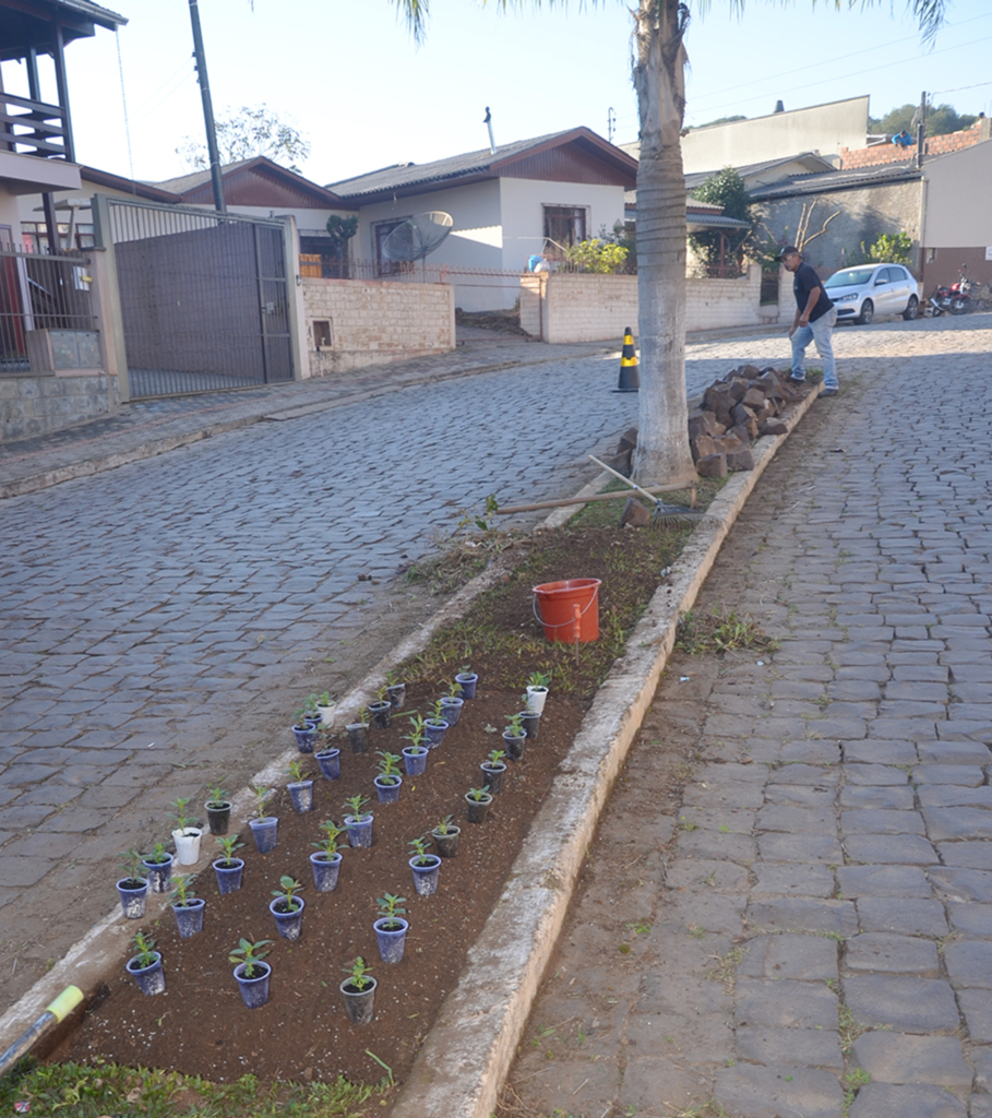Ruas mais floridas na chegada da cidade de Anita