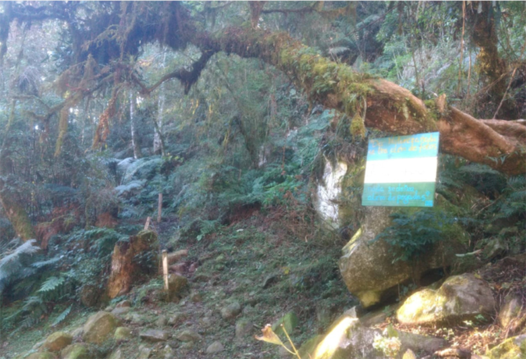 Trilha ecológica já pode ser visitada