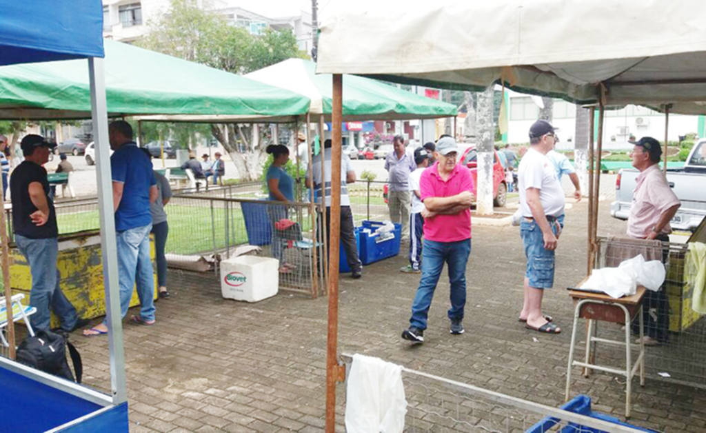Anita e Campo Belo realizaram a Feira do Peixe Vivo