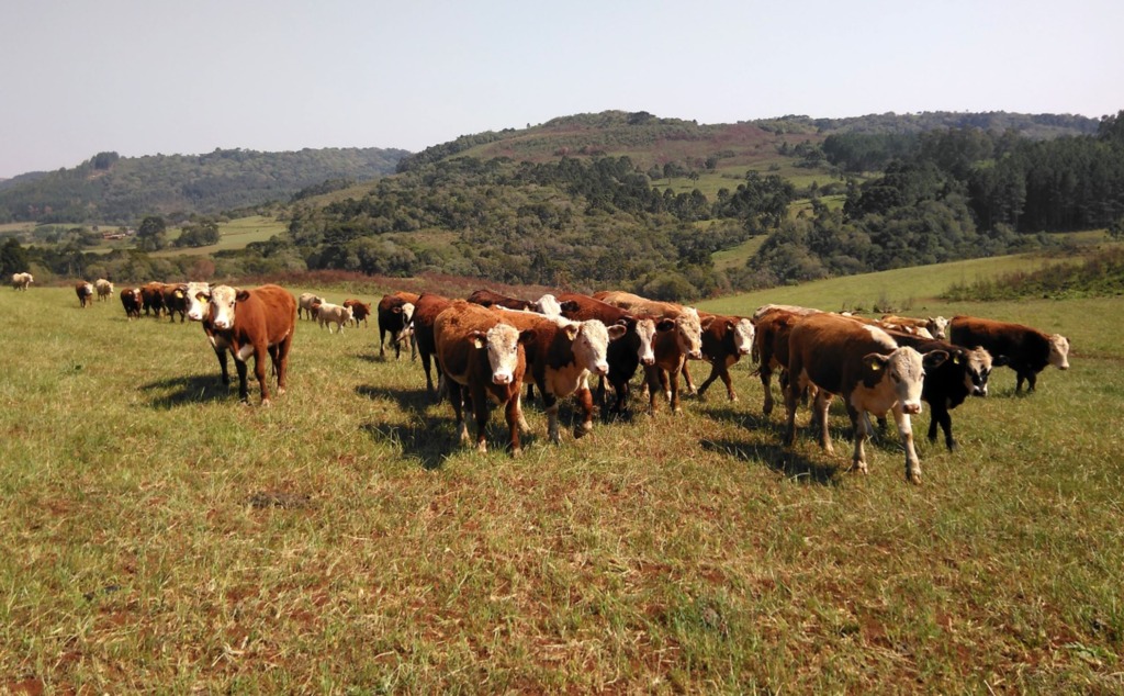 Expofeira Multissetorial de Campo Belo do Sul será lançada nesta quarta-feira