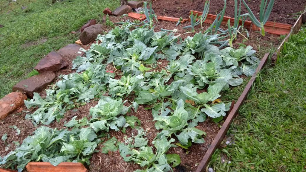 Chuva de granizo causa estragos em municípios da Região dos Lagos