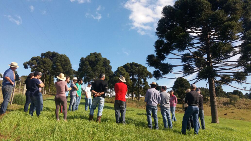 Produtores participam de oficina voltada ao gado de corte em Anita