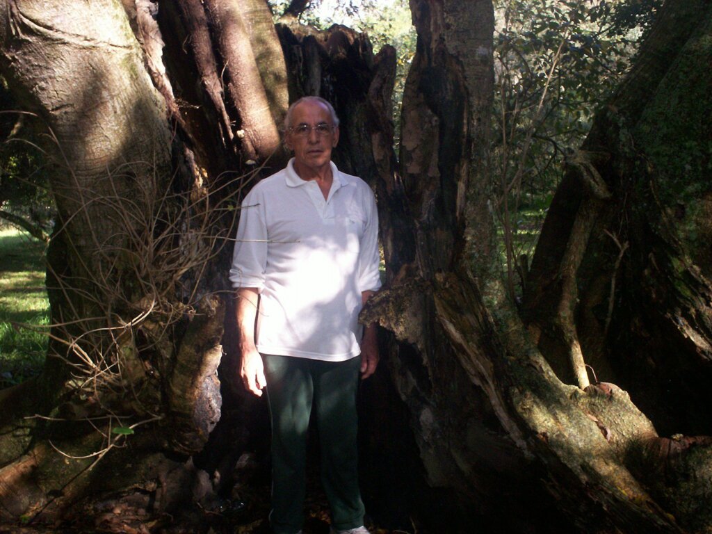 Jô Folha - 