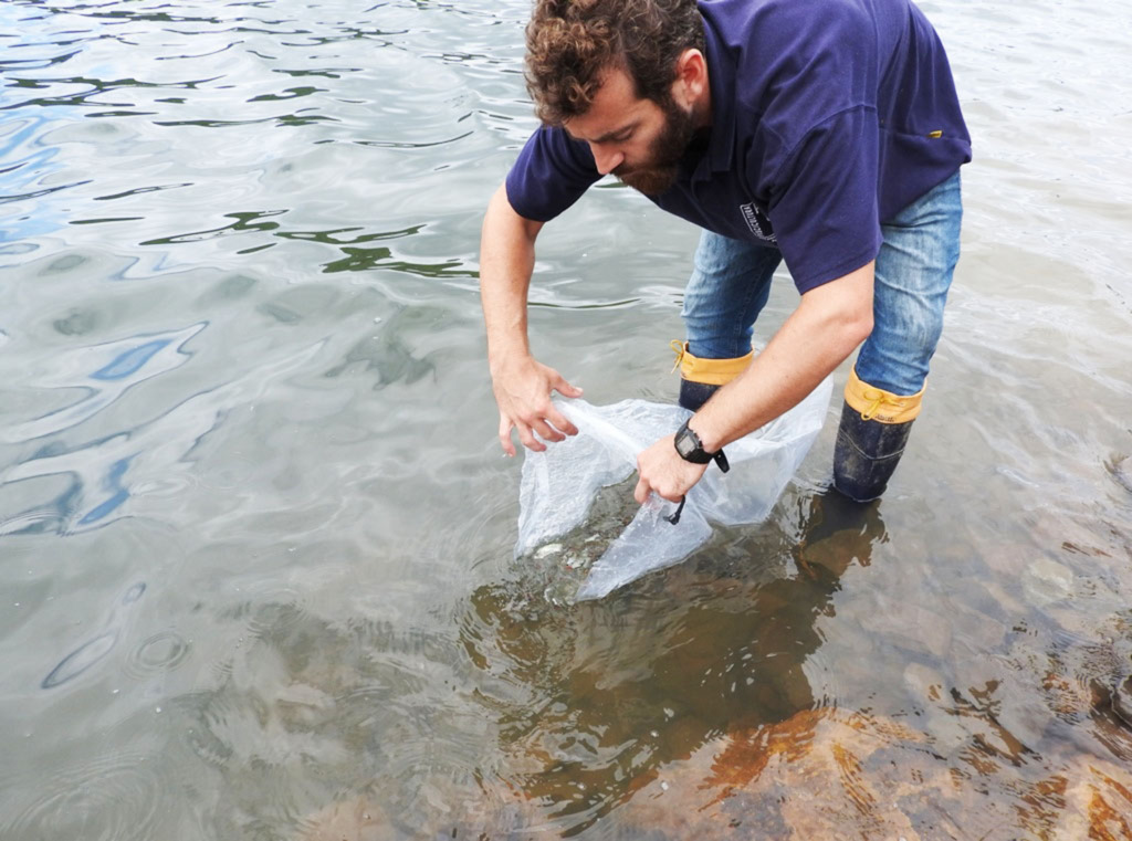 ENERCAN realiza nova soltura de peixes