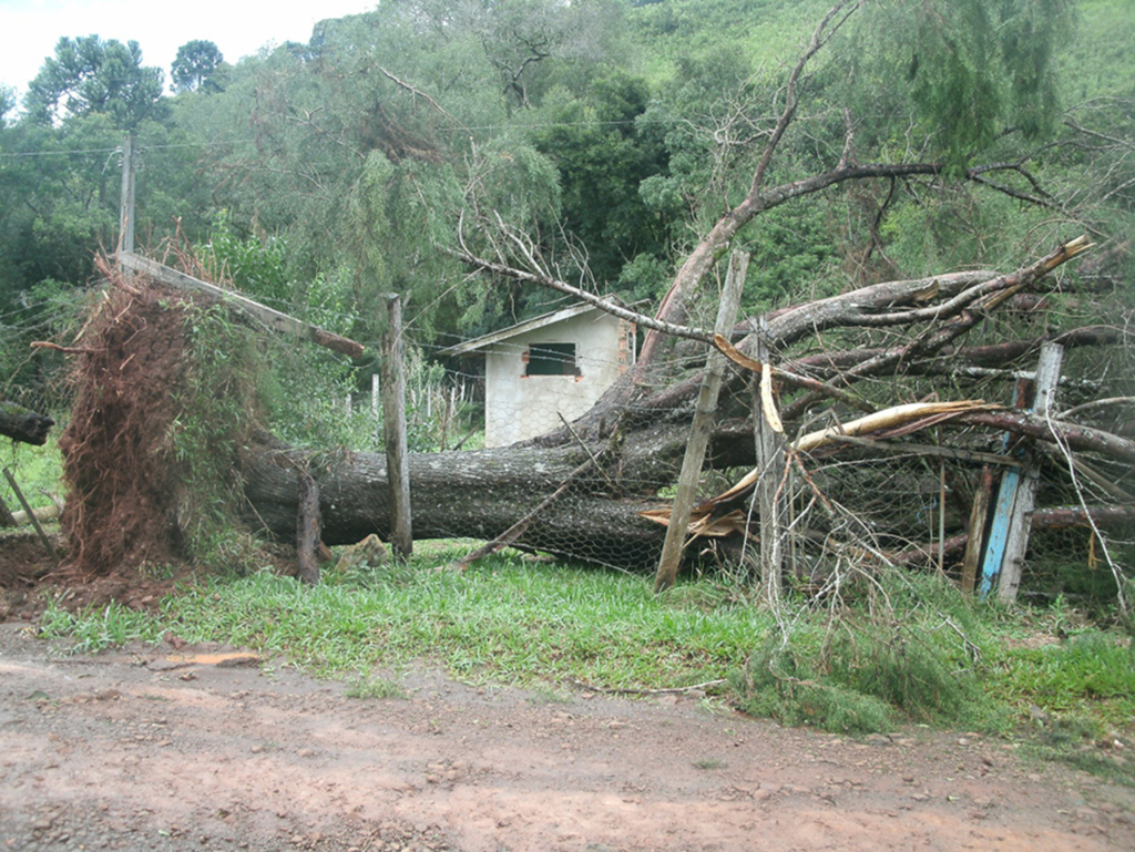 Temporal deixa rastro de destruição no interior de Anita Garibaldi